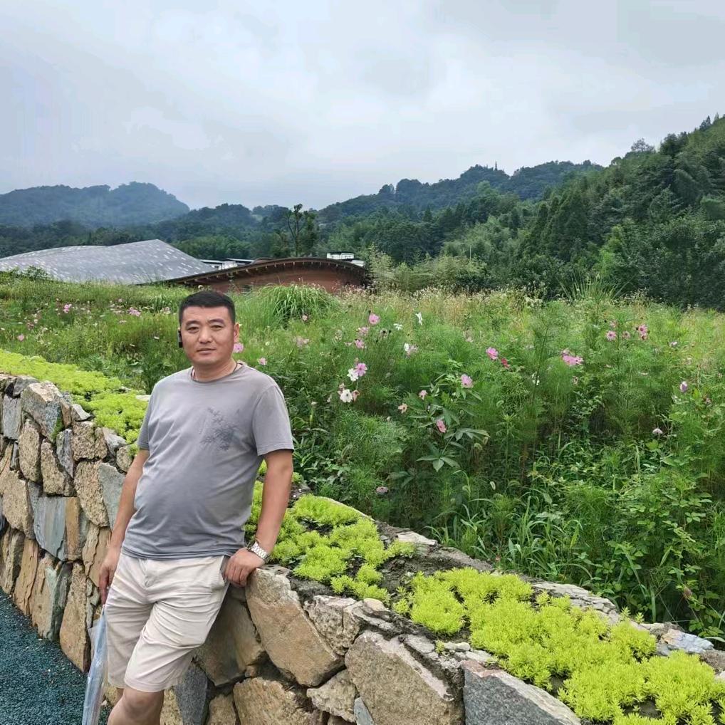 阿雷 说