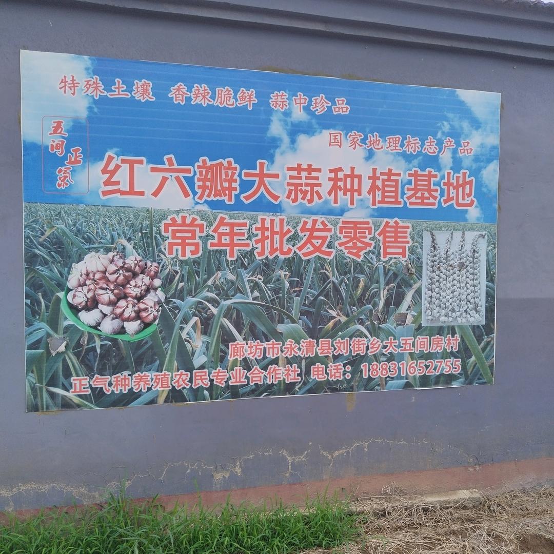 用户3786324398666