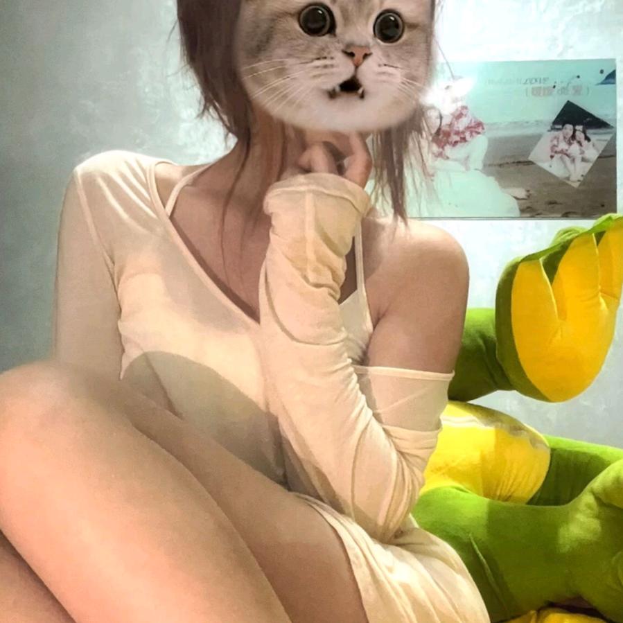 蛋挞皮皮