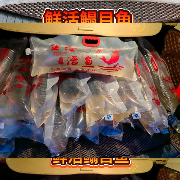 北海新区洋洋活鳎目鱼活石斑鱼水产