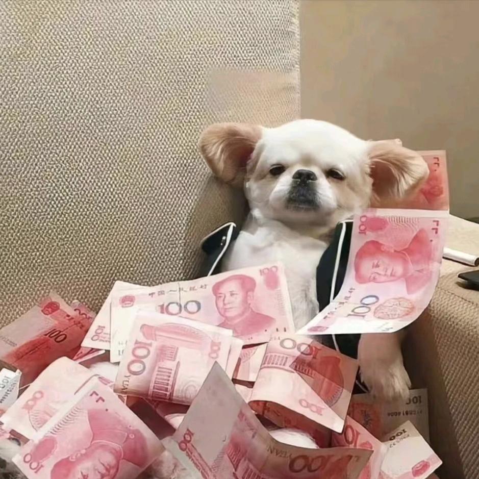 摘朦灬
