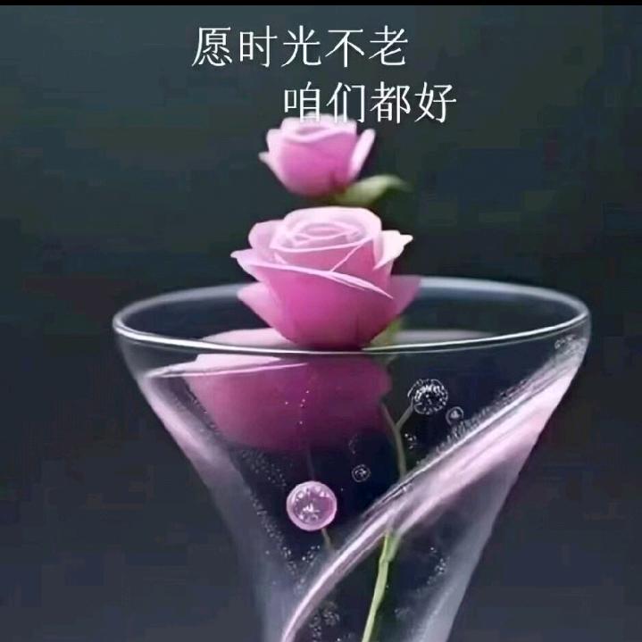 扬风