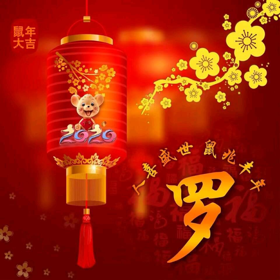 小罗哥哥