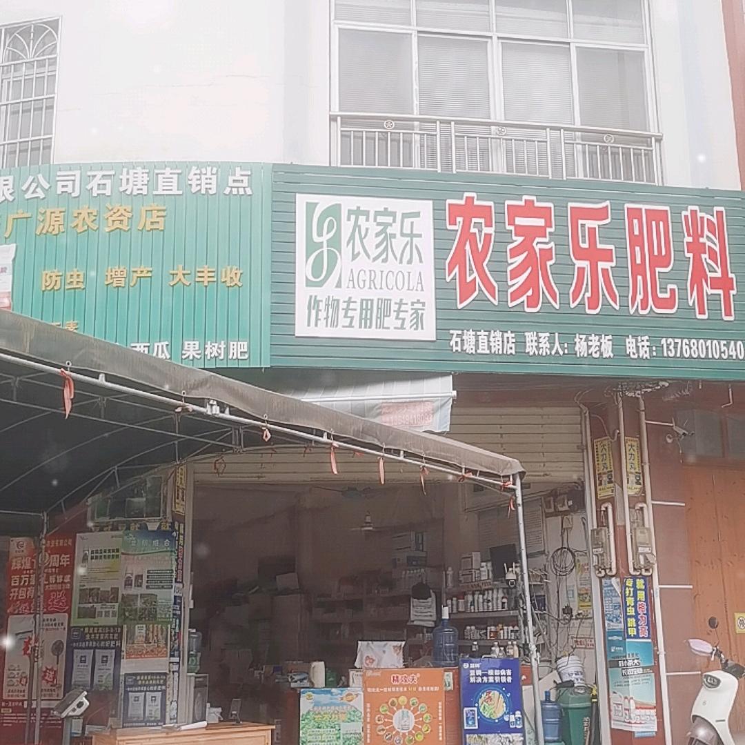 石塘农家乐收花仔