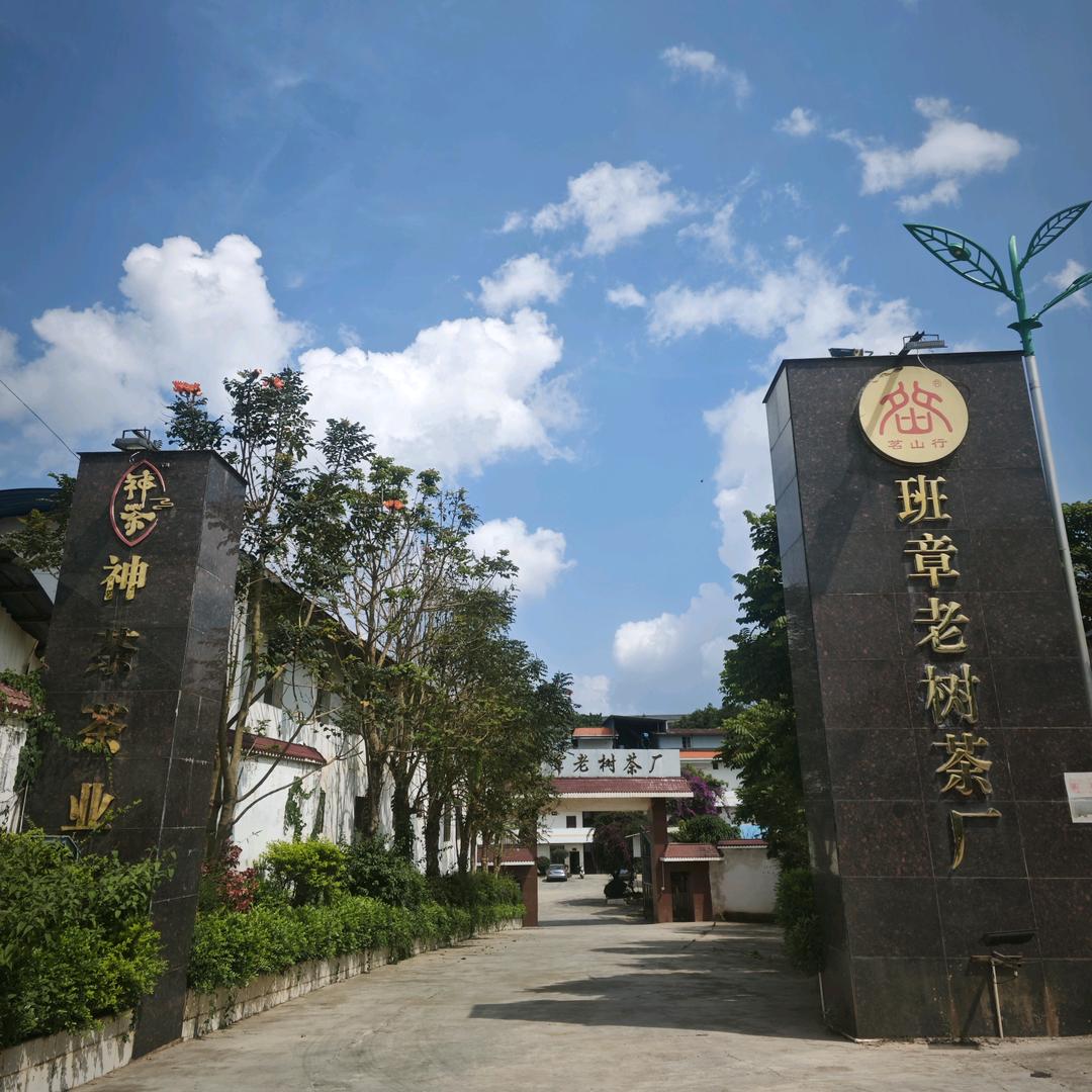 神茶茶叶有限责任公司