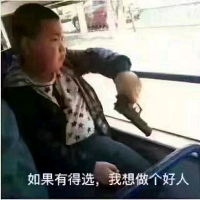 鸿进