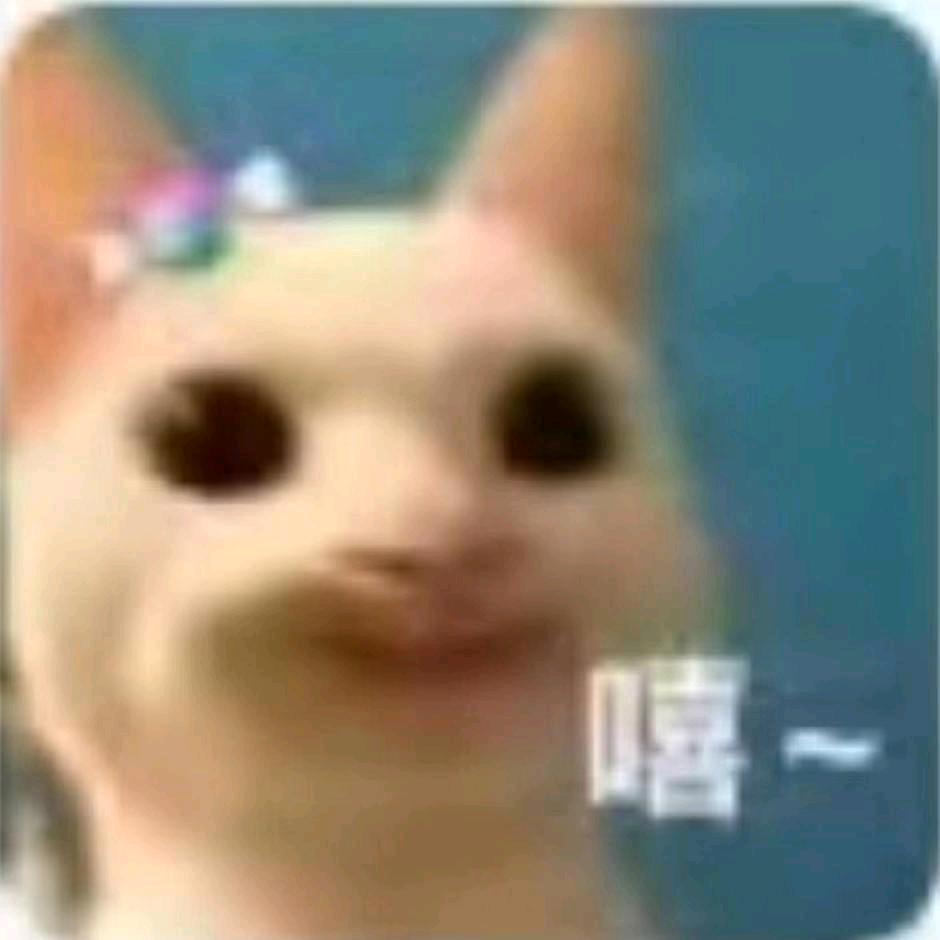 行知职高万能墙