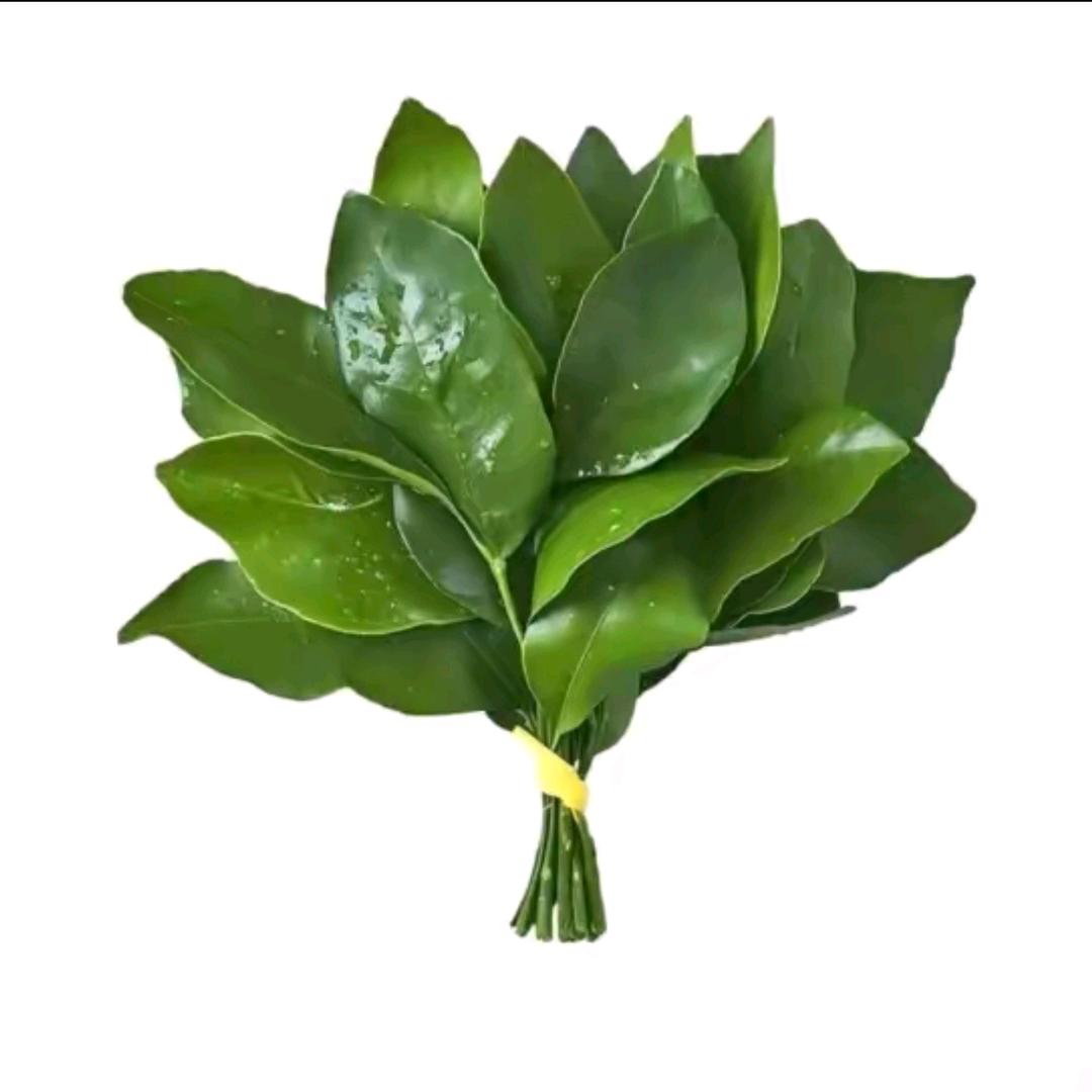緦悥🌸