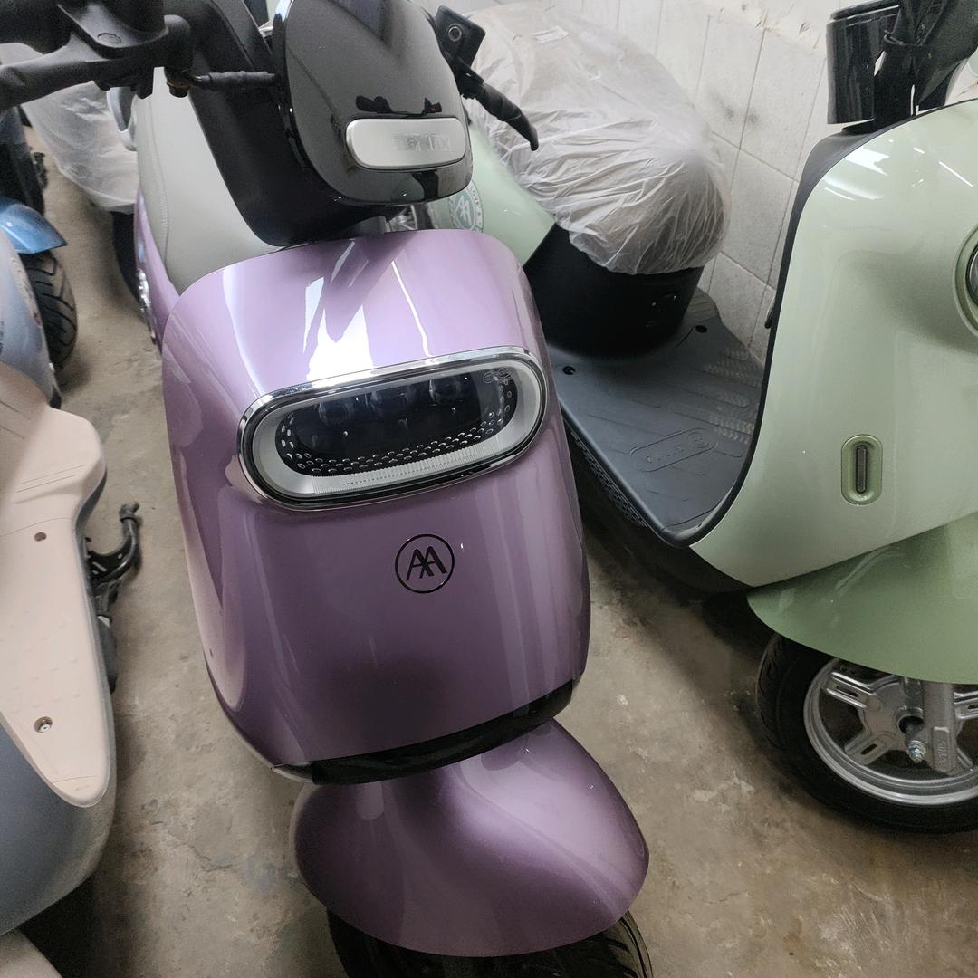 北堤爱玛油电维修服务部