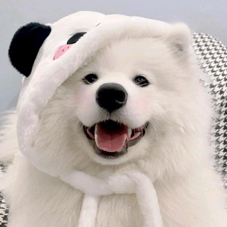 淋雨  ᶻ 𝗓 𐰁