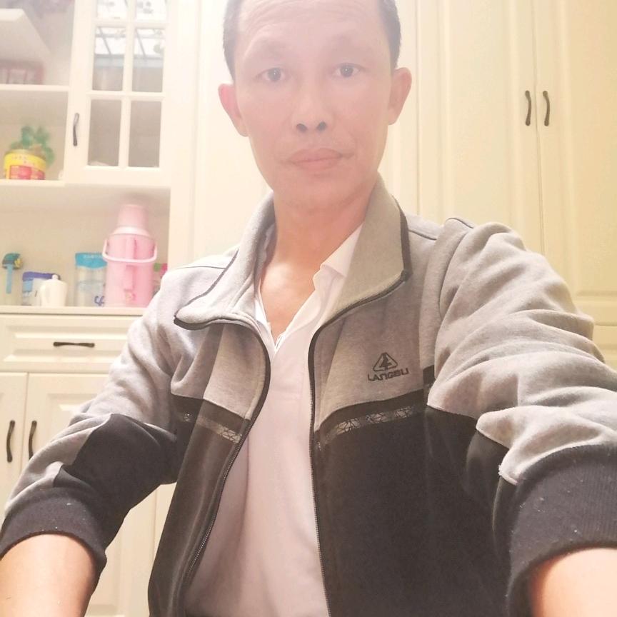 杨歌