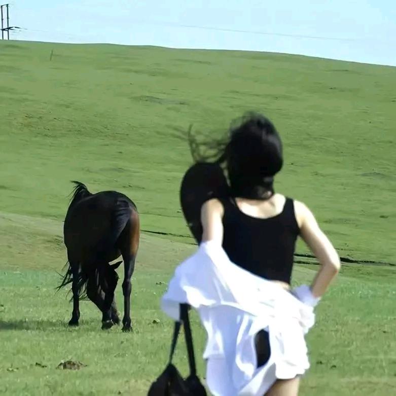 拾貳