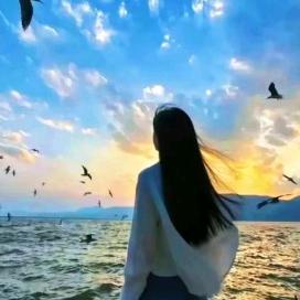 🌙 云拥月眠 🌊