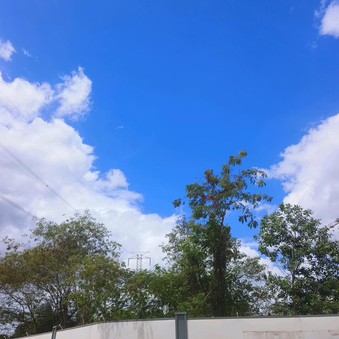 向往蓝天