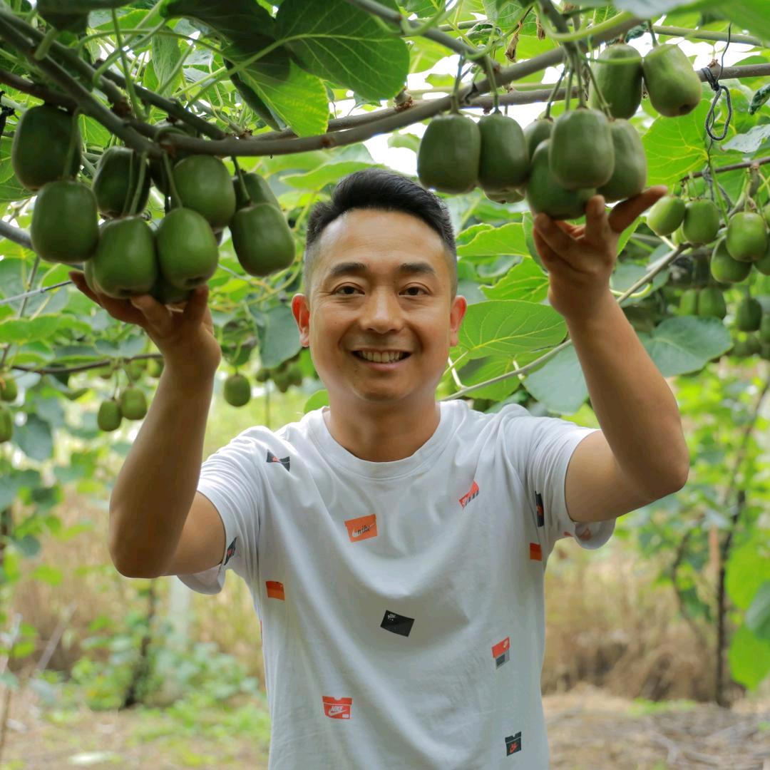 阿明讲红心猕猴桃