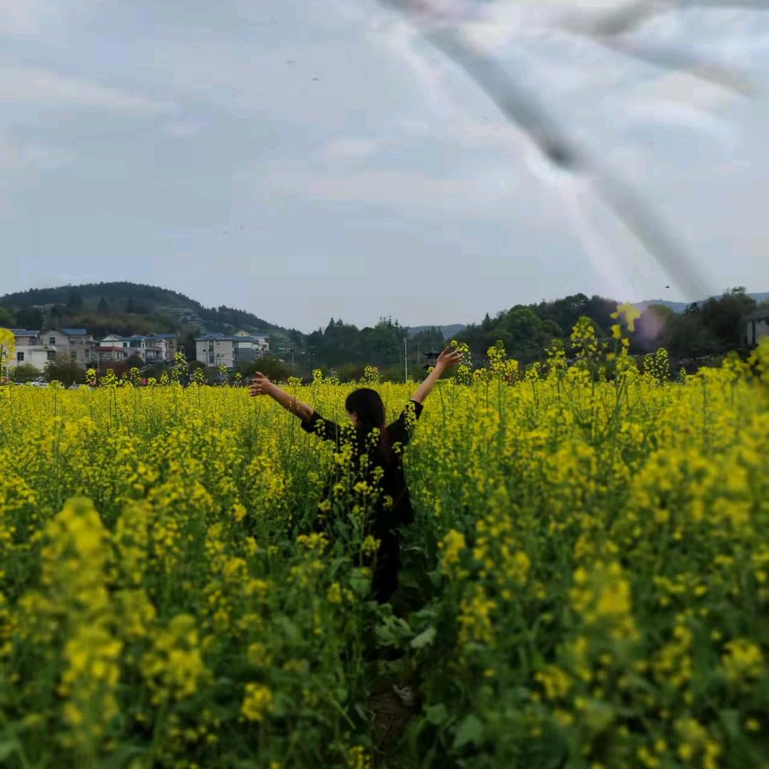 密咪咪