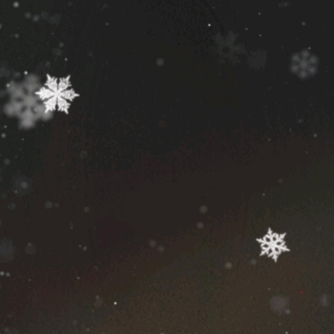 ❄️❄️❄️💨