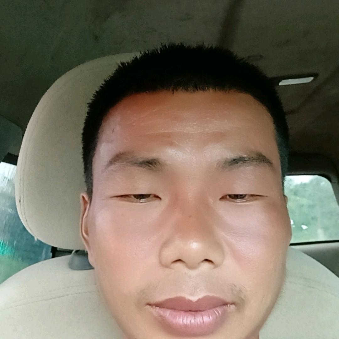 河南人在武汉种地，  黑皮蔬菜瓜果种地基