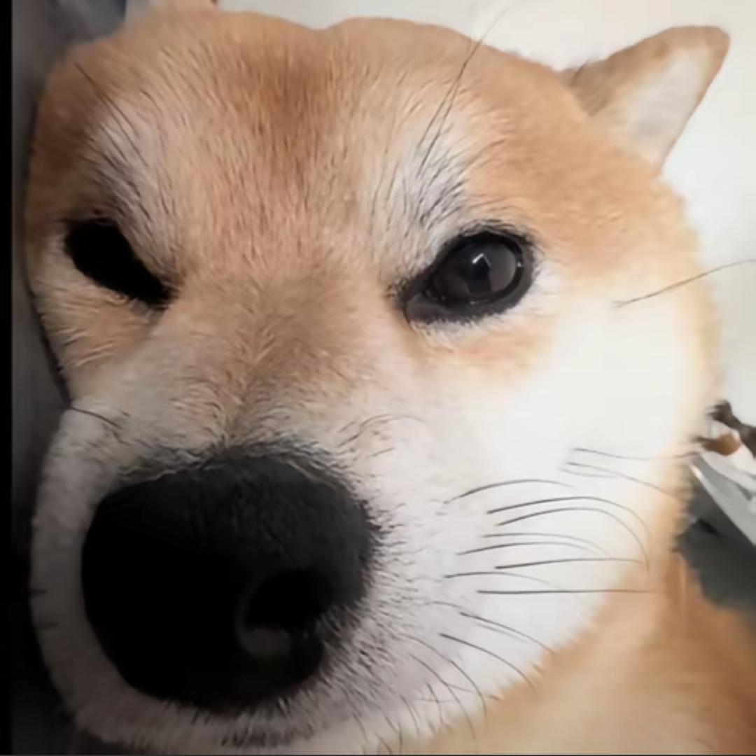小暮