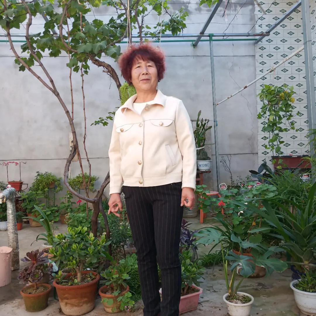 承泽奶奶