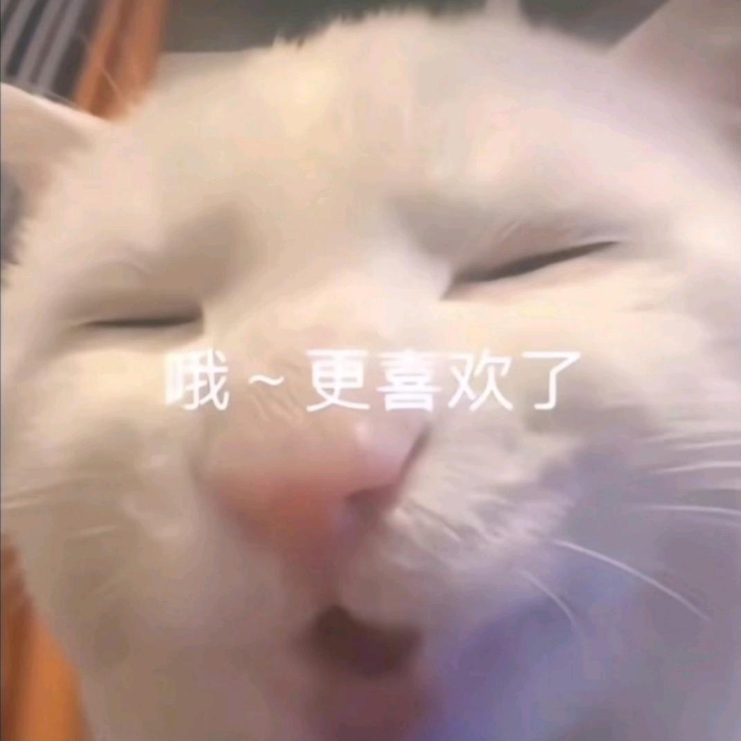 彩虹小马马飞飞