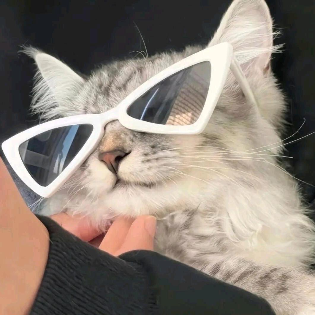 带你看世界