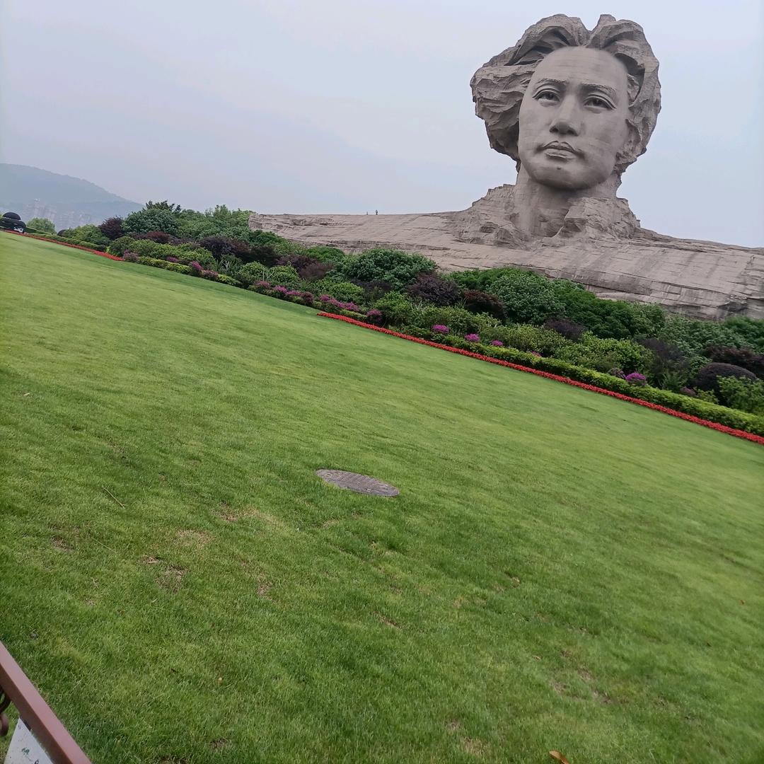 南飞