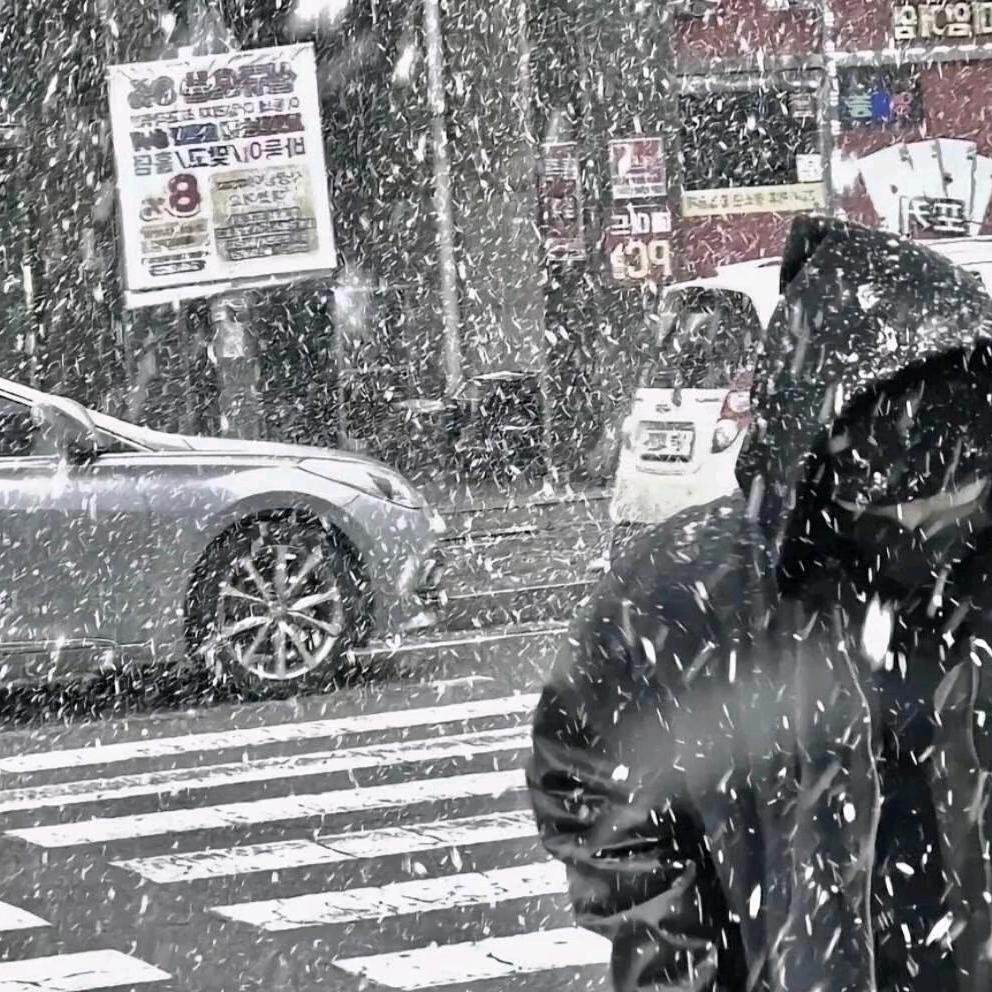 菠哎白