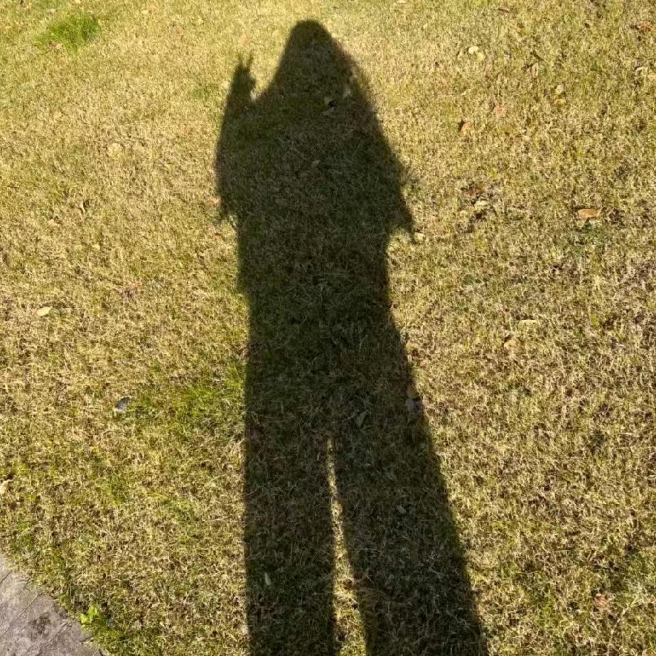 陆陆大顺