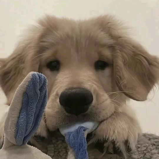 进水的脑袋正好养鱼