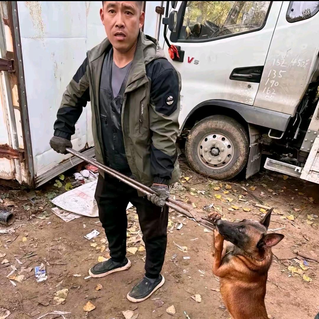 专业套狗袁师傅（全国可套）