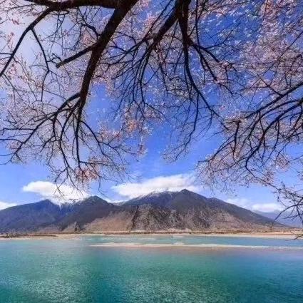 随风飘逝