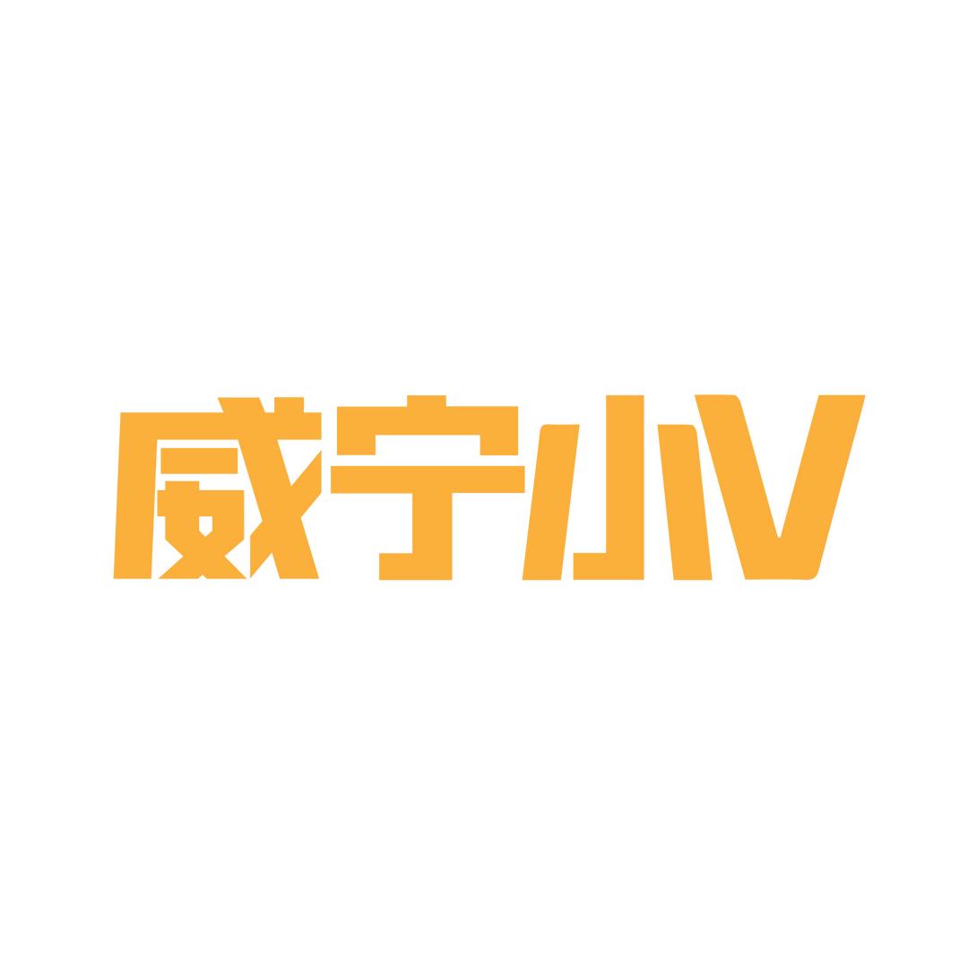 威宁小v