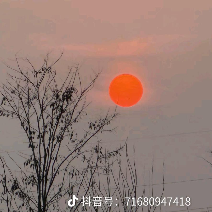 老蛇劈