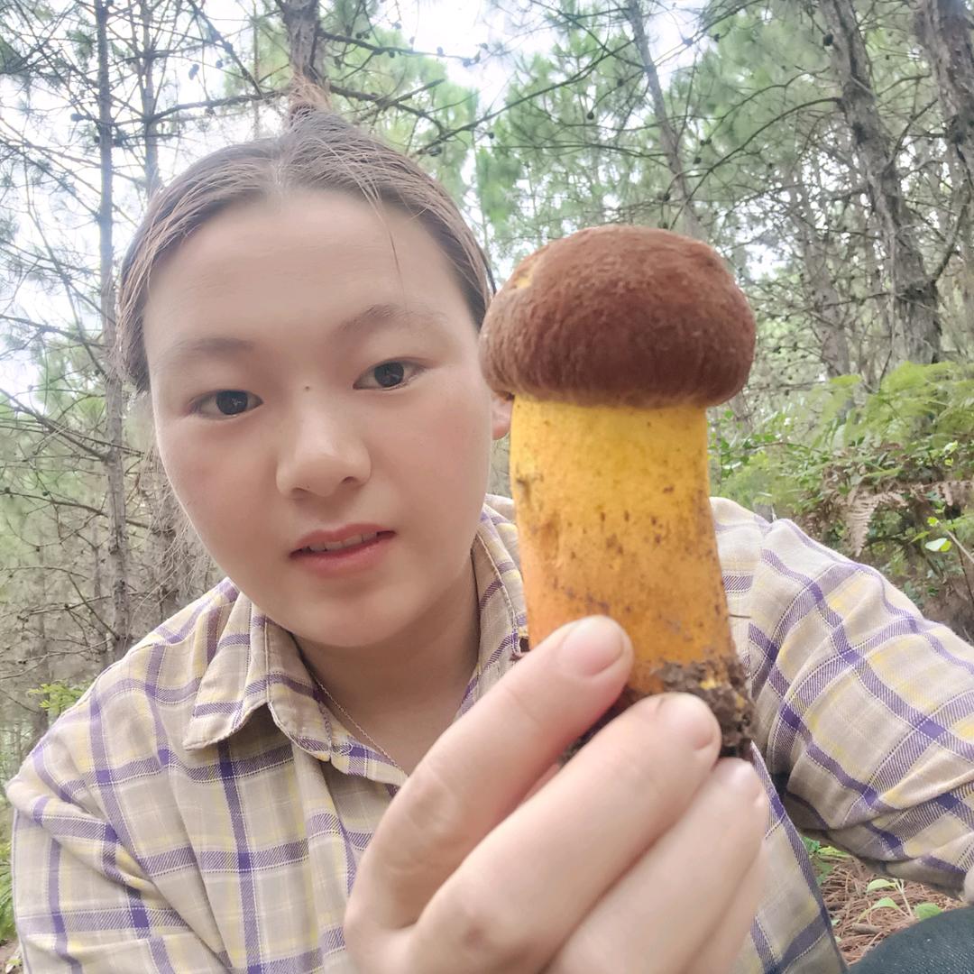 小凤呀