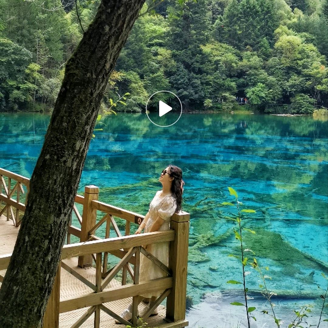 薯条🍟不吃鱼🐟