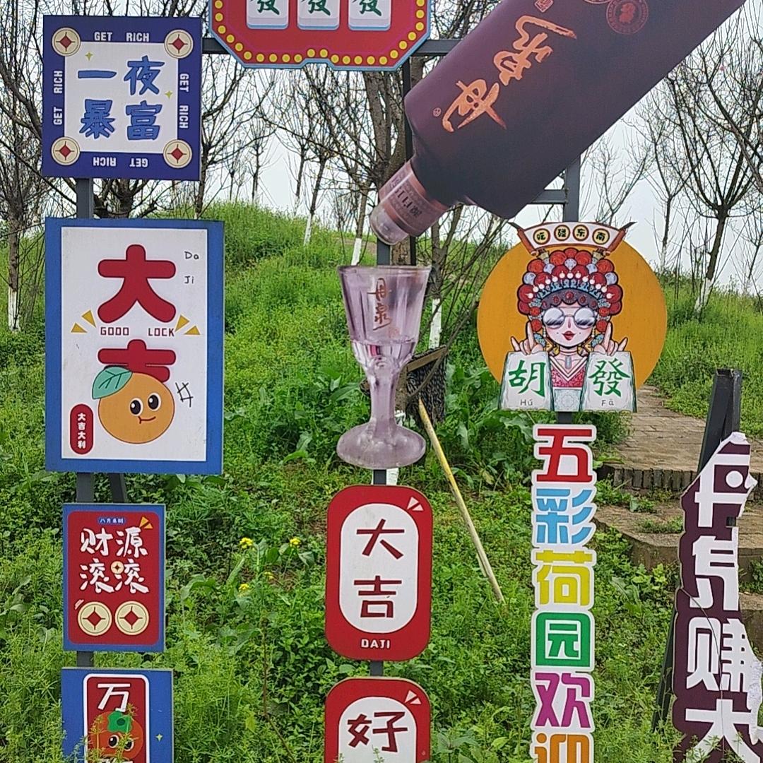 躺平式野心家