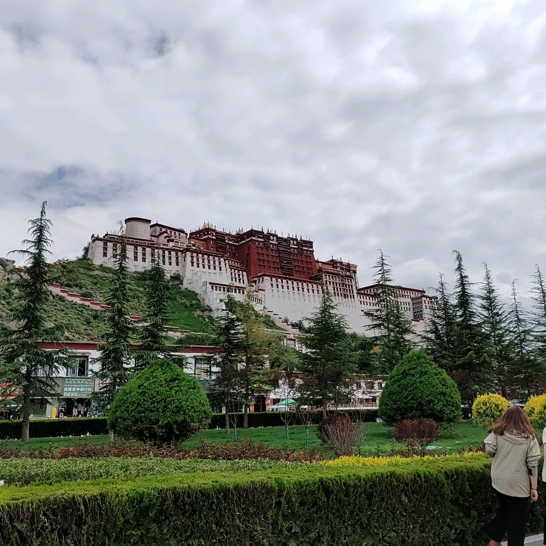 云兮扬