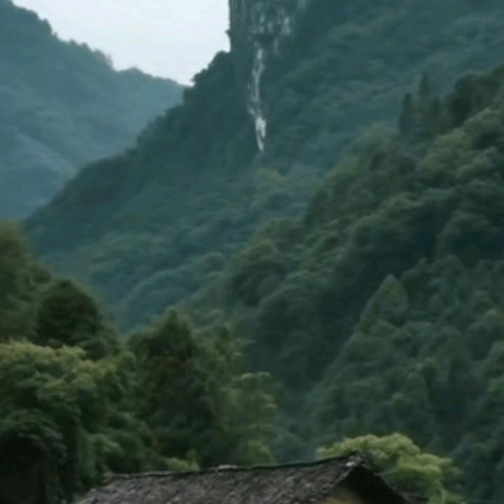 我为努力的