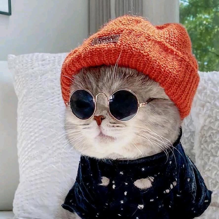 小猴爱宠物