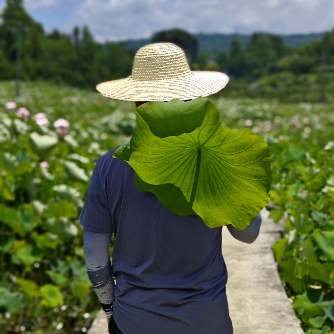 南境雲味