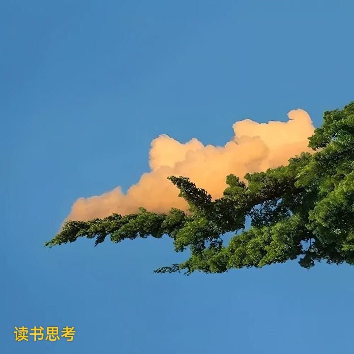 无。。