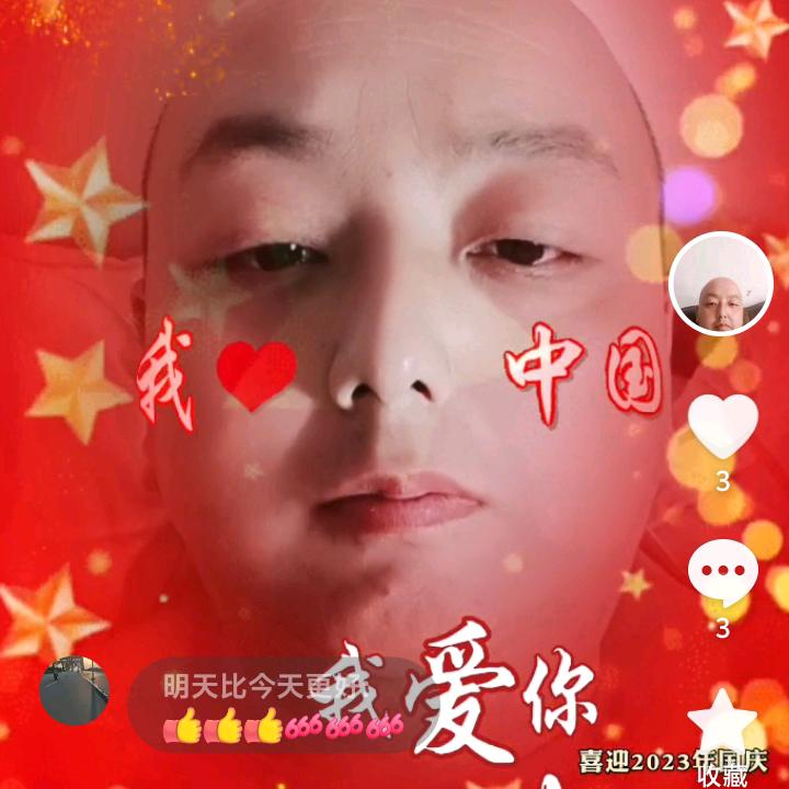 鸿运似锦