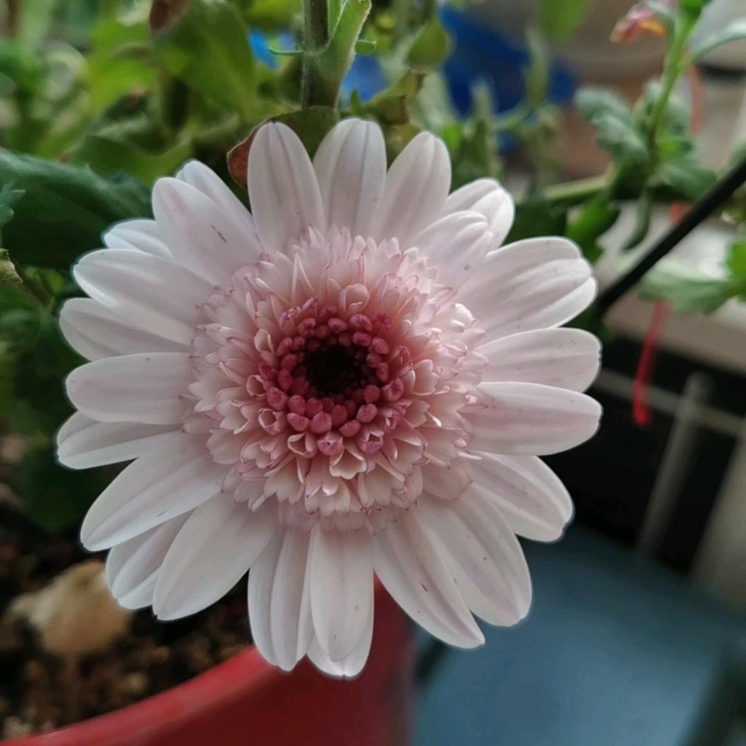 花点时间