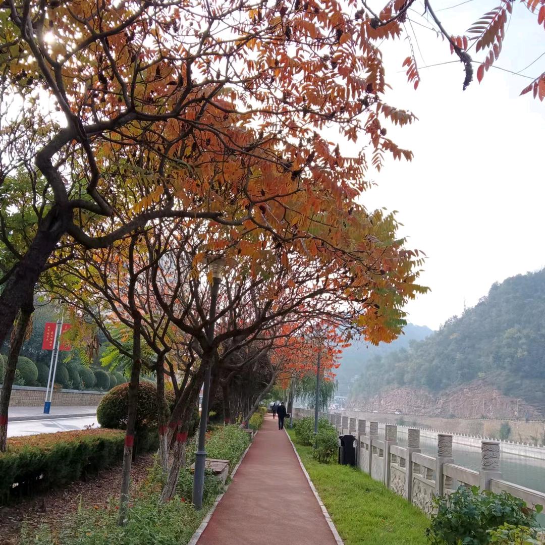 吕老师讲数学