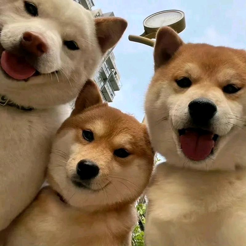 好好生活！