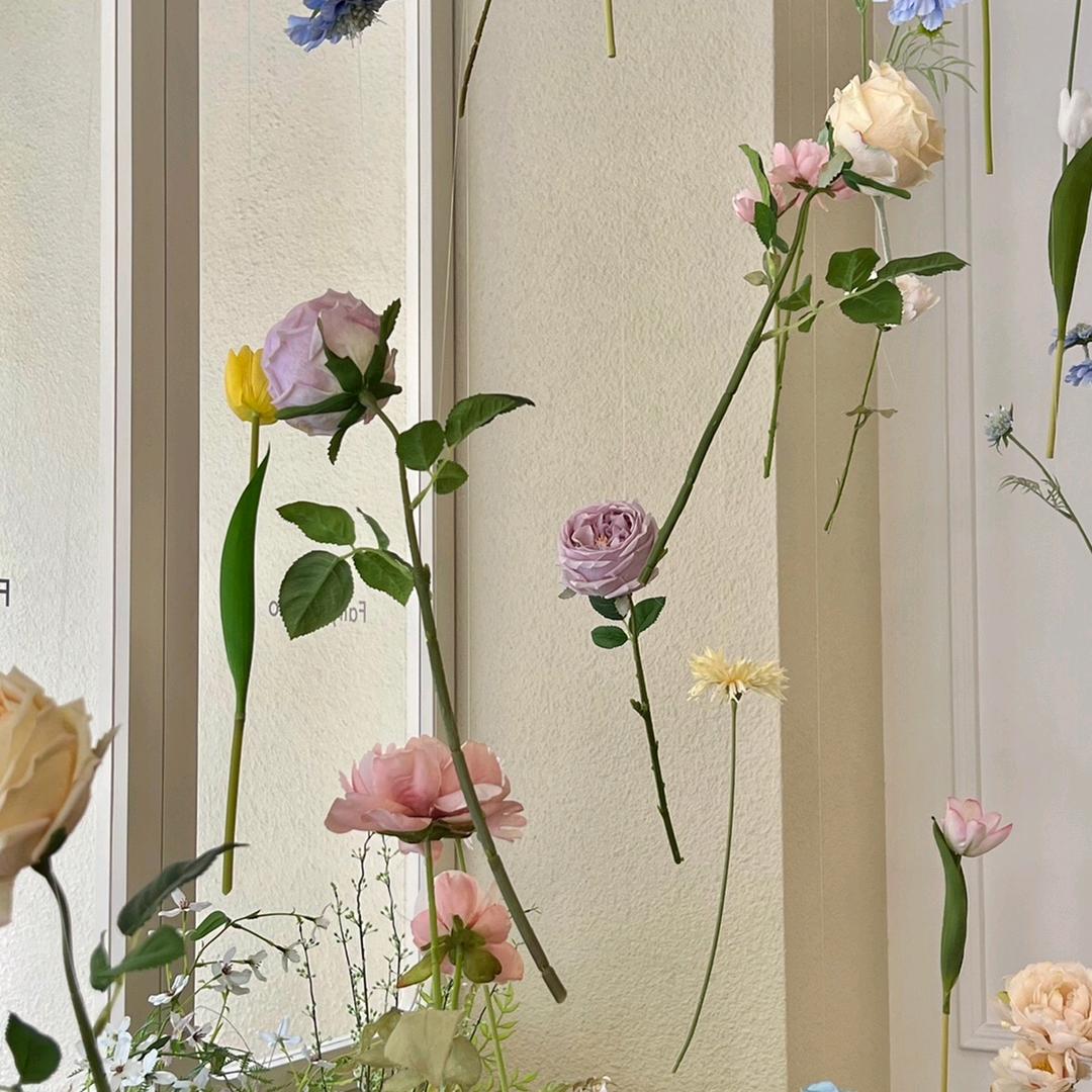 喝抹茶星冰乐吗