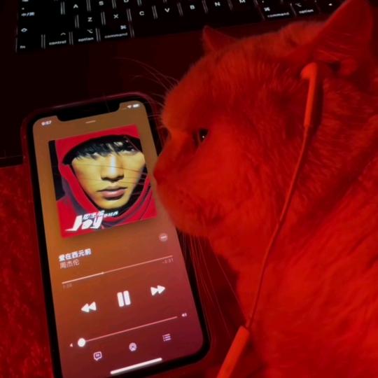 男儿当自强 🎧