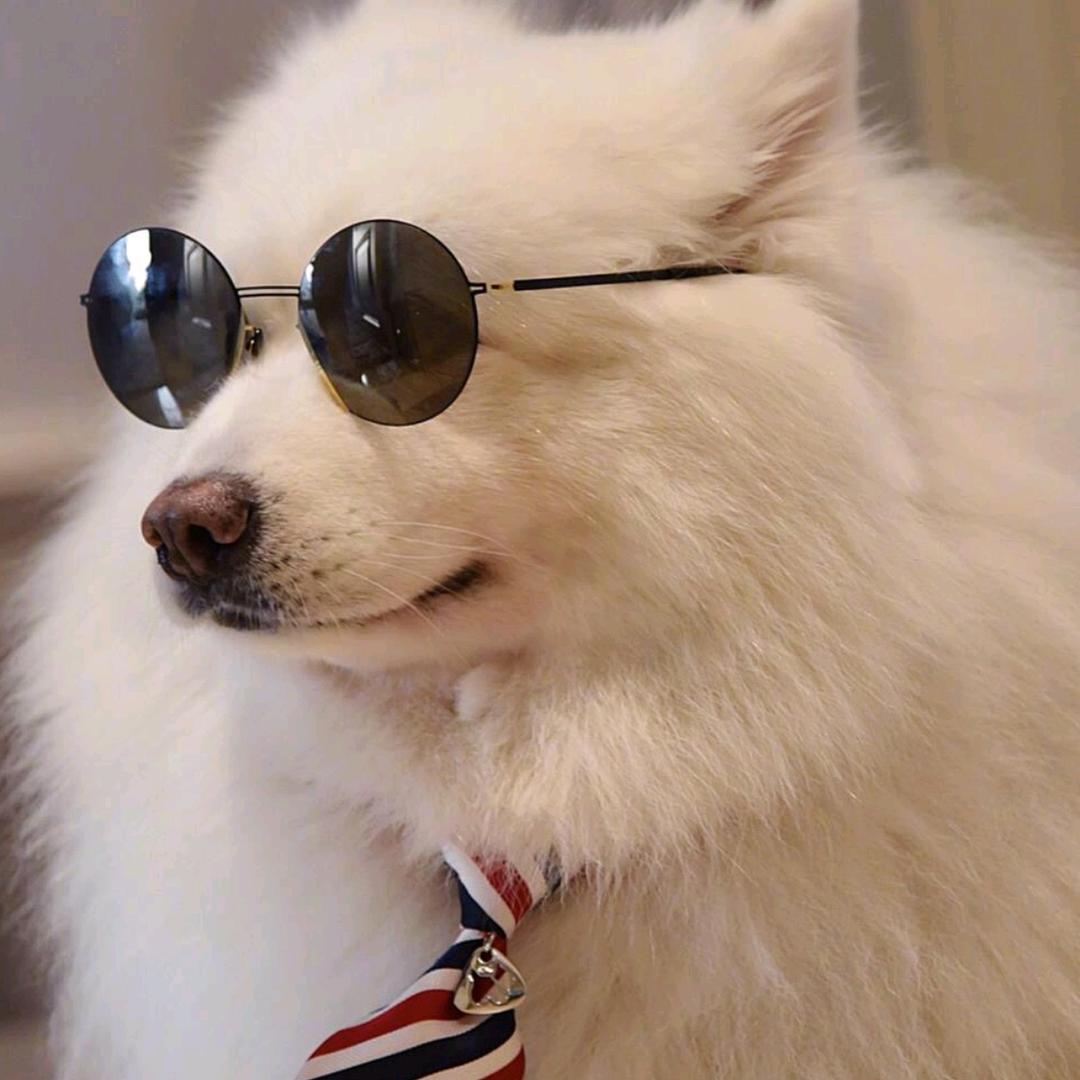 乐翻天