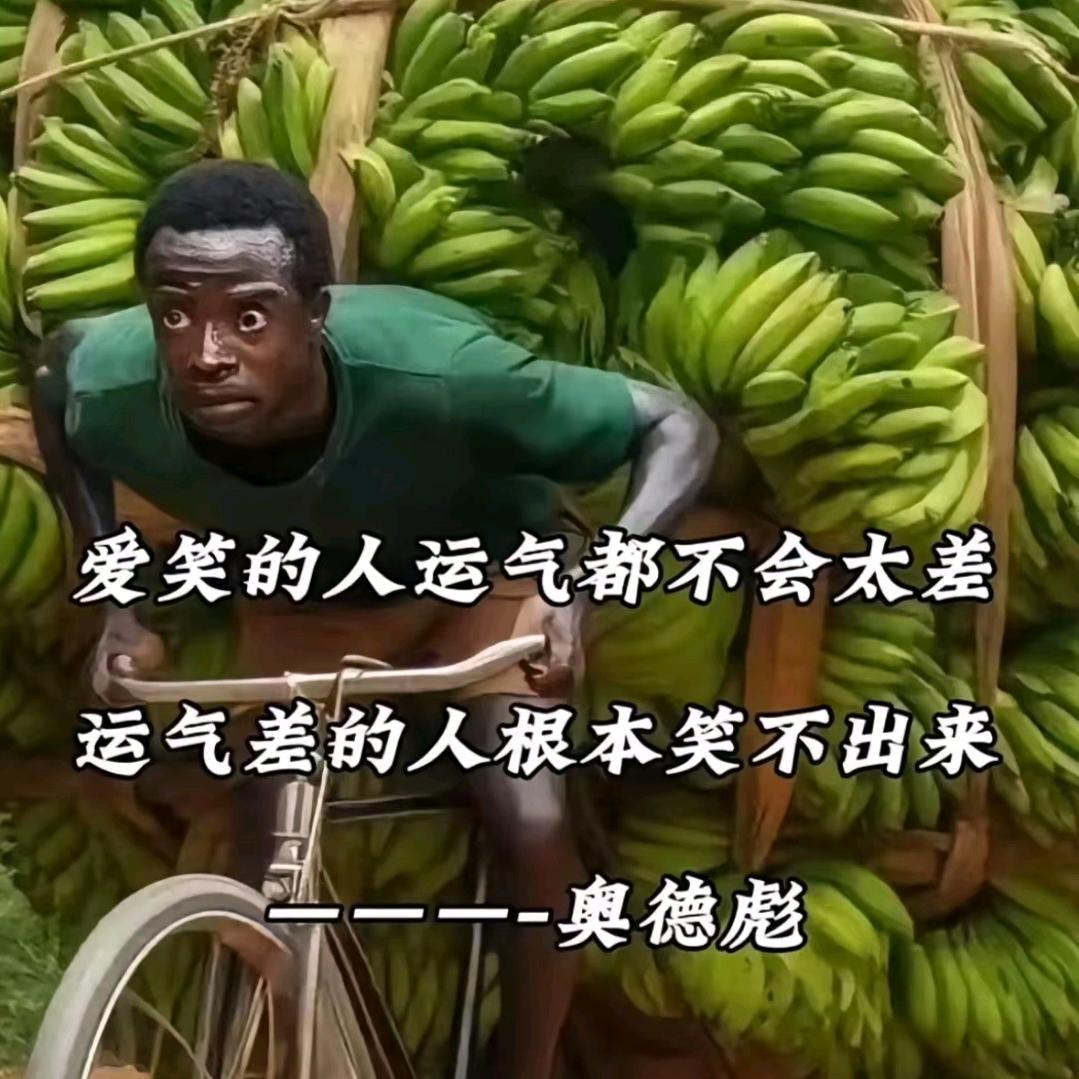 狐狸殿下